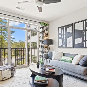living room A bright living room at Vista Wilde Lake featuring a gray sofa, modern decor, large windows with patterned curtains, and a view of the balcony and trees outside
